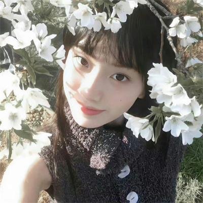 月亮的后裔